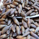 Afghan Nuts
