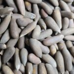 Chilgoza pine nuts wholesale