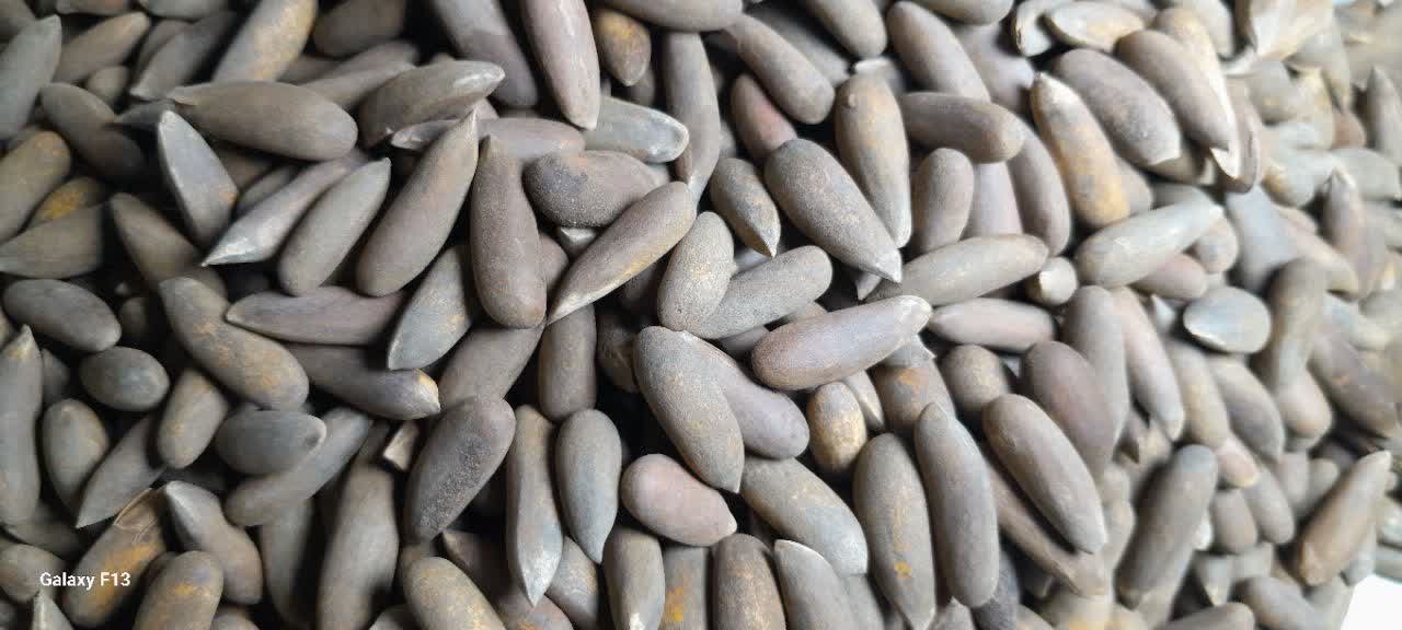 Chilgoza pine nuts wholesale