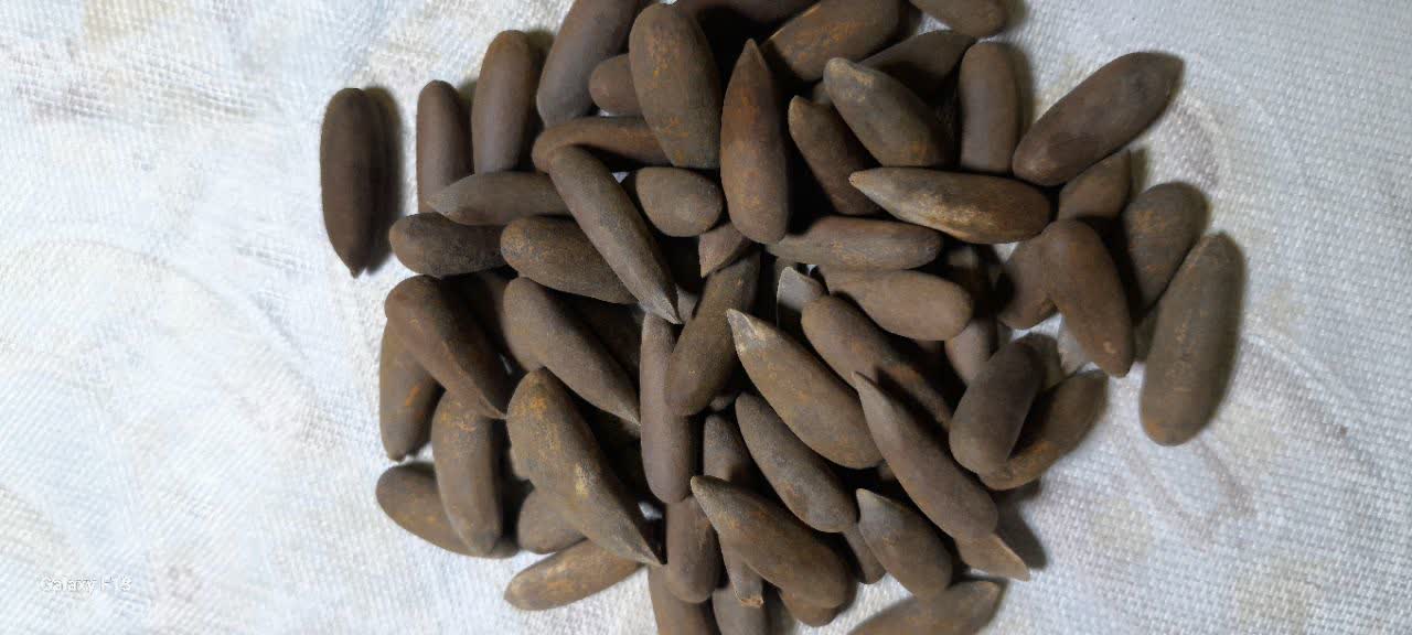 Afghanistan Pine Nuts