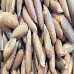 Afghan Pine Nuts