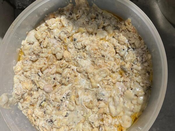 Asafoetida sap